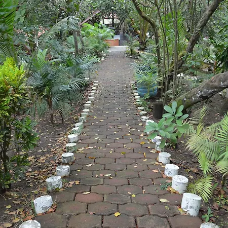 Cocoaventura-3
